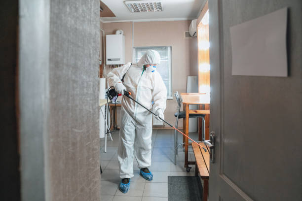 Best Mold Prevention Services  in South Sioux City, NE