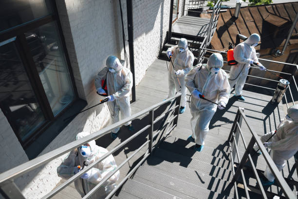 Best Environmental Consulting for Mold Prevention  in South Sioux City, NE