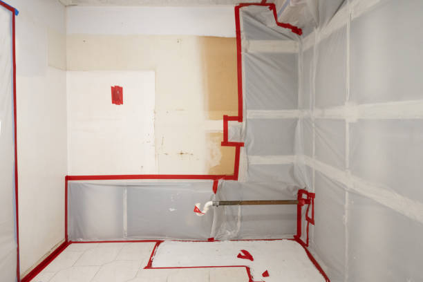 Best Mold Damage Restoration  in South Sioux City, NE
