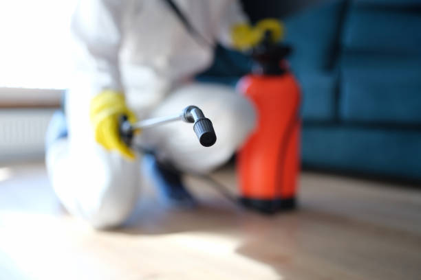 Best Biohazard Mold Removal  in South Sioux City, NE