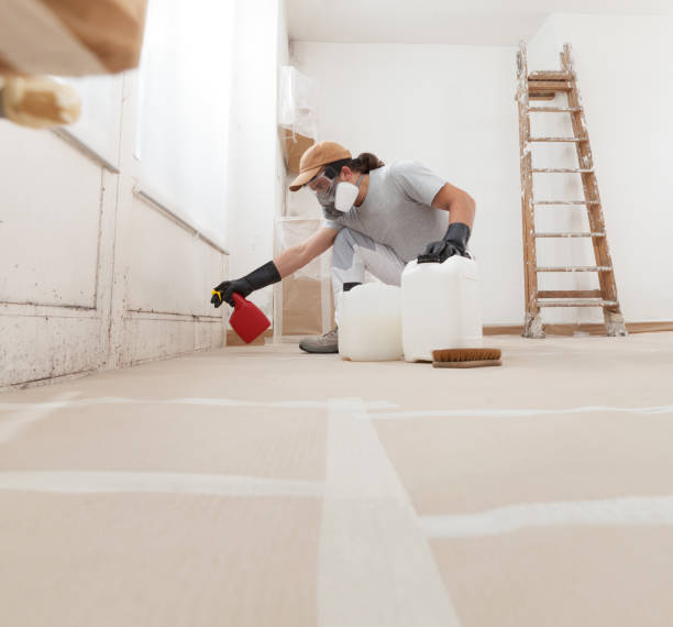 Mold Odor Removal Services in South Sioux City, NE
